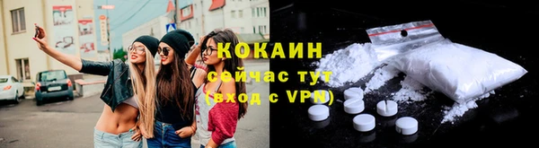 СК Алексин