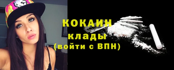 СК Алексин