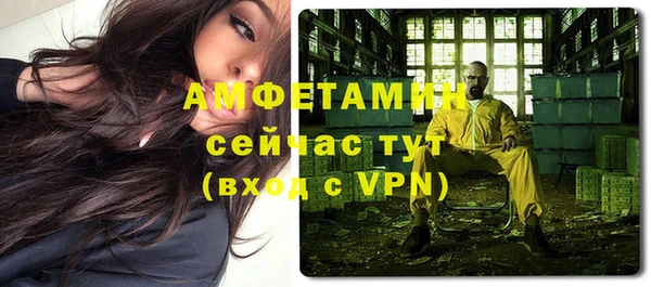СК Алексин