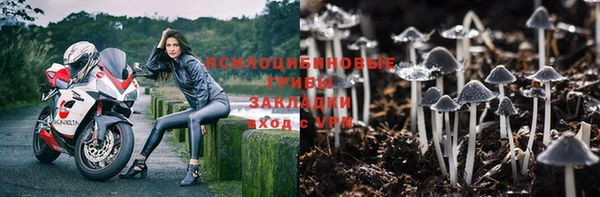 дмт Алексеевка
