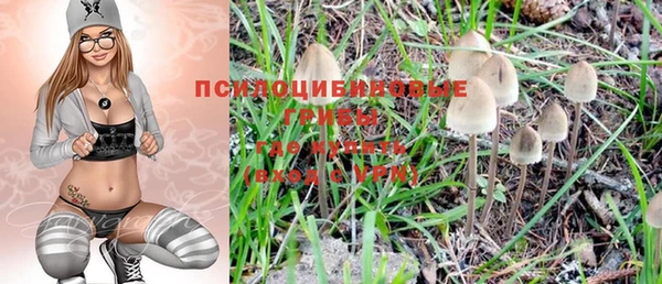 дмт Алексеевка