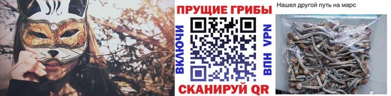 Галлюциногенные грибы мицелий  Углич 