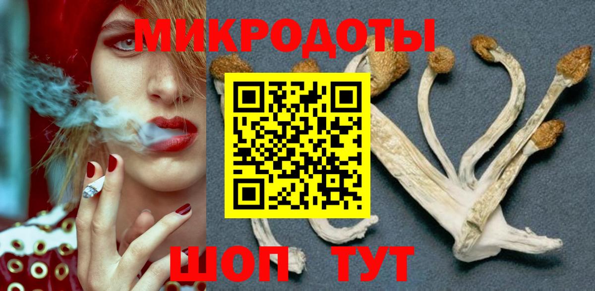 Псилоцибиновые грибы GOLDEN TEACHER Углич