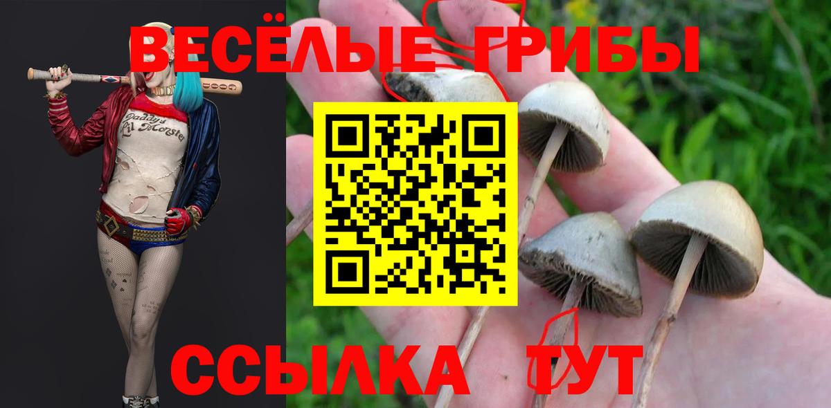Галлюциногенные грибы Magic Shrooms  Вход с VPN  Углич 